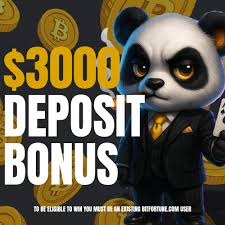 How to Effectively Compare Live Casinos for an Optimal Gaming Experience